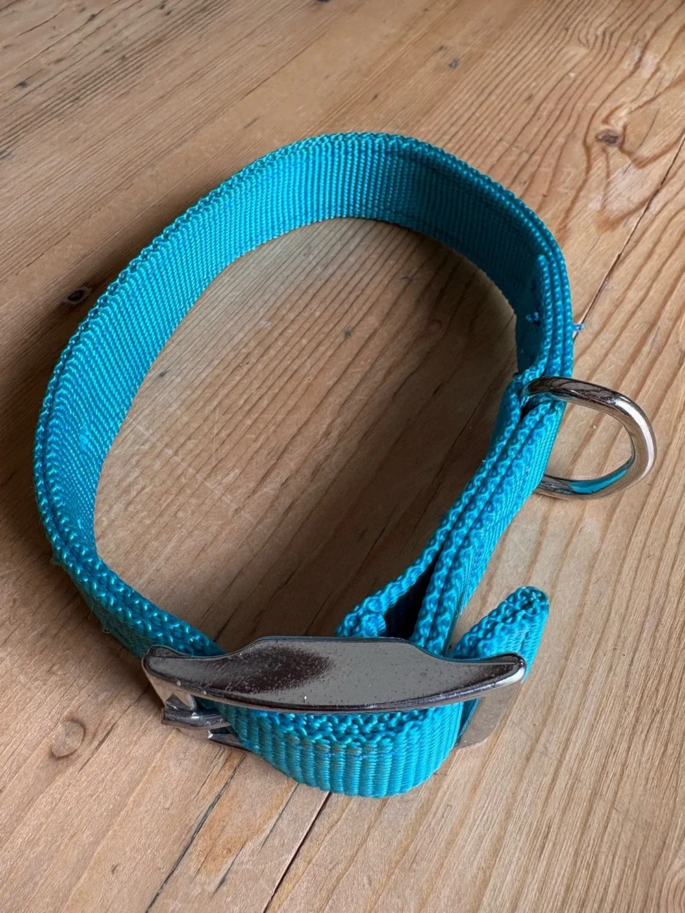 DOG COLLAR, DOUBLE-PLY PREMIUM 1” NYLON Nickel Hardware EUC